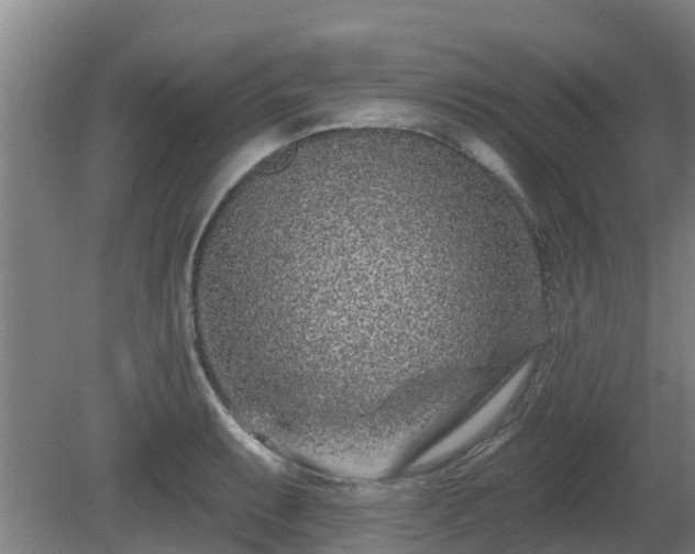 X0000081421087200701191549