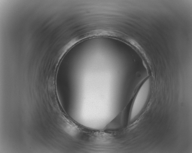 X0000081421089200701191549