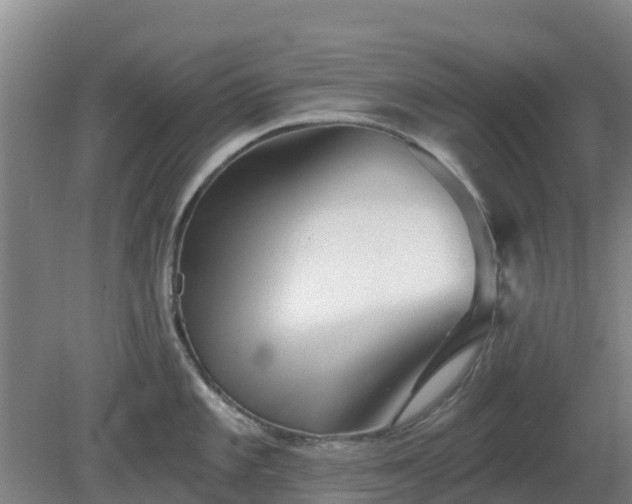 X0000081421101200701191549