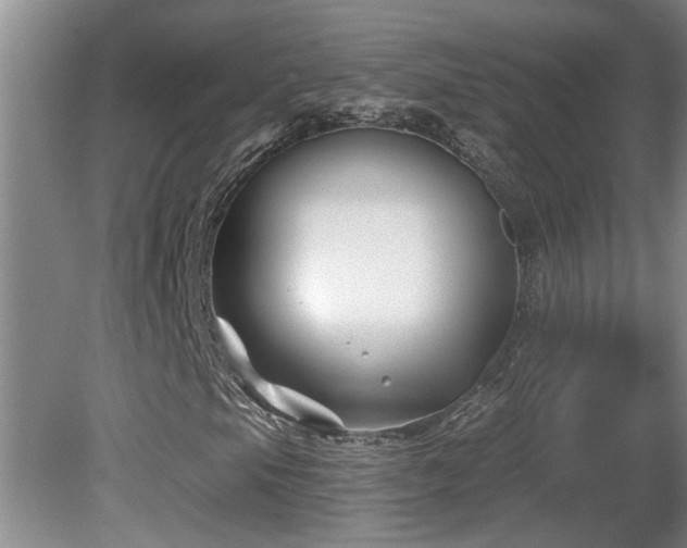 X0000081421105200701191548