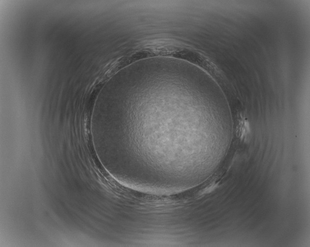 X0000081421108200701191548
