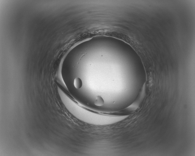 X0000081421109200701191548
