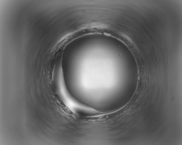 X0000081421112200701191548