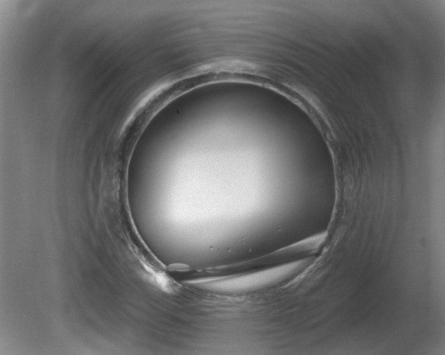 X0000081421115200701191549