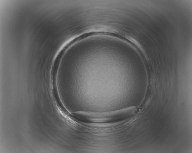 X0000081421120200701191549