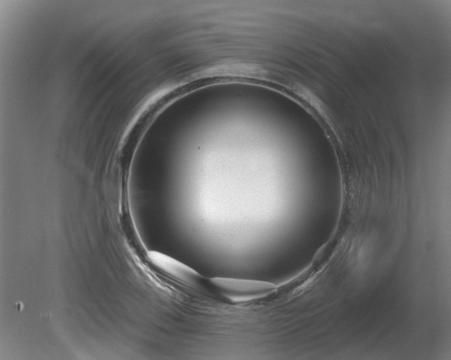 X0000081421123200701191549