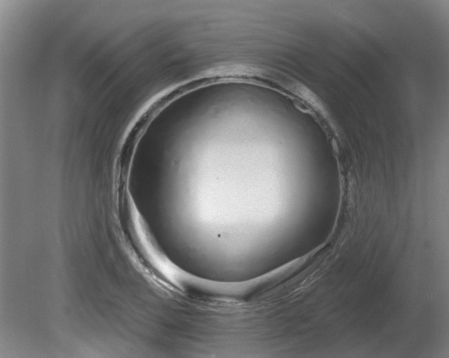 X0000081421124200701191549