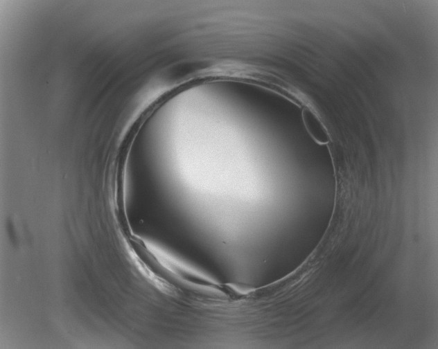 X0000081421131200701191549