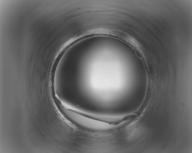 X0000081421133200701191549