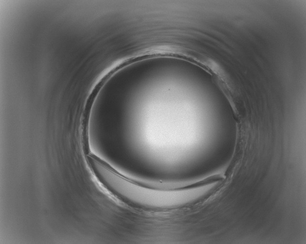 X0000081421134200701191549