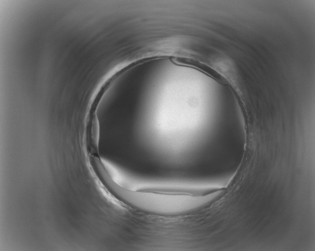 X0000081421136200701191549
