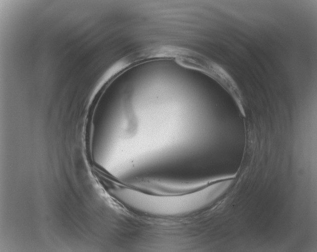X0000081421138200701191549