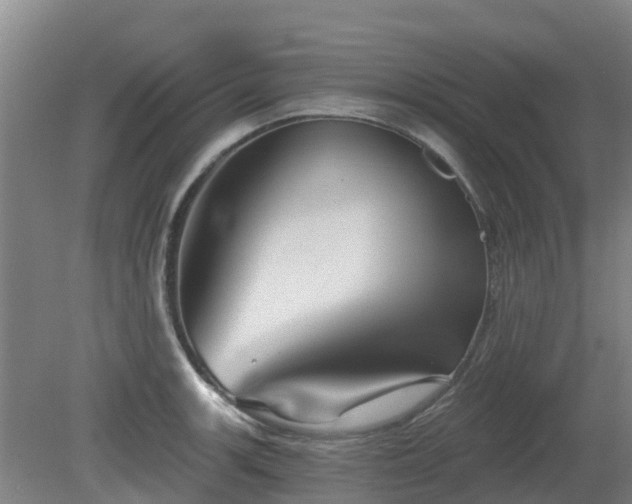 X0000081421139200701191549