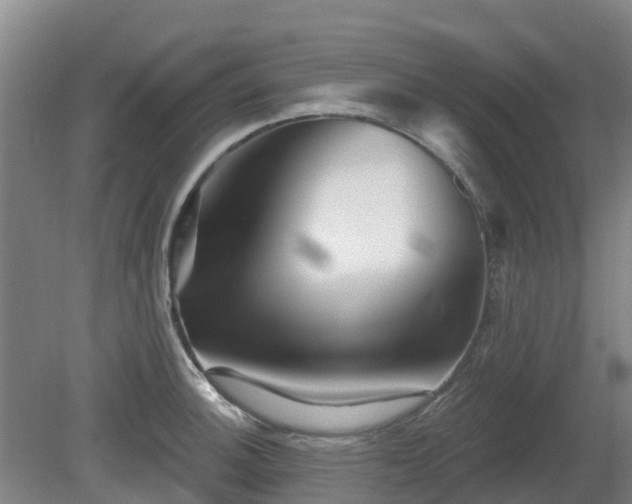 X0000081421140200701191549
