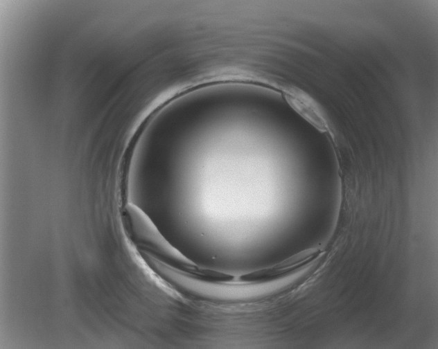 X0000081421142200701191549