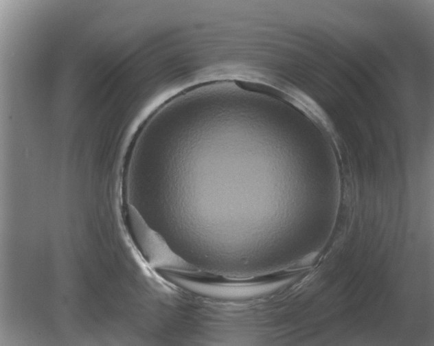 X0000081421144200701191549