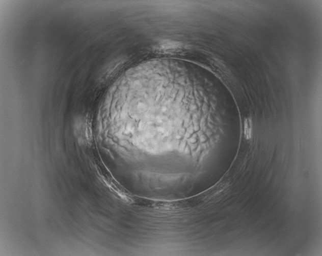 X0000081421155200701191548