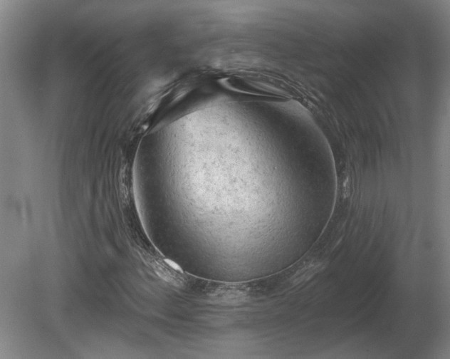 X0000081421156200701191548