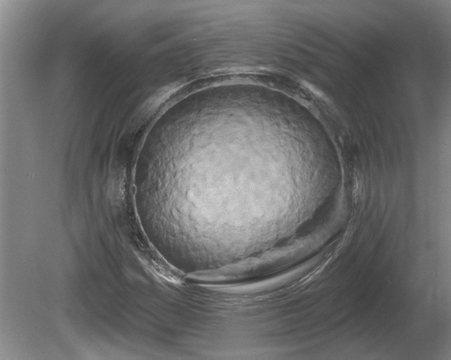 X0000081421161200701191548