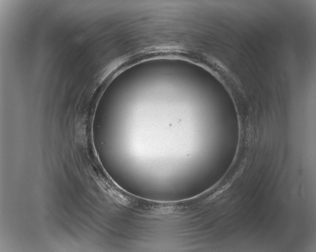 X0000081421162200701191548