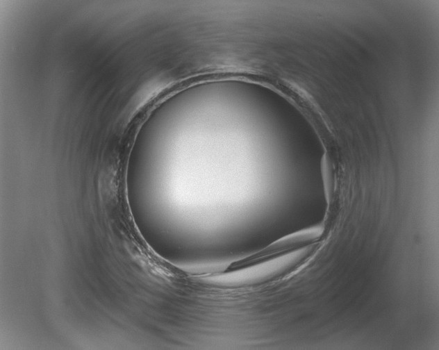 X0000081421163200701191548