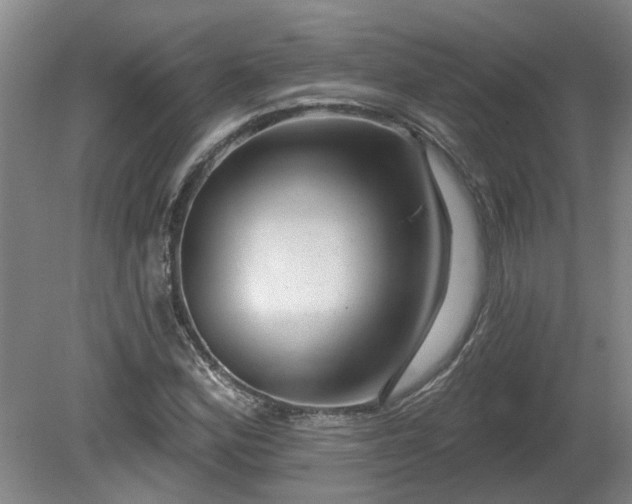 X0000081421164200701191548