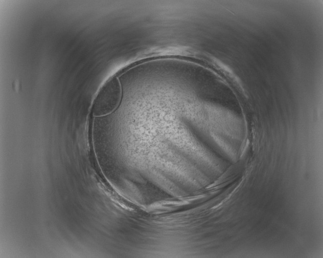 X0000081421174200701191548