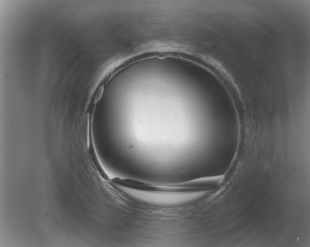 X0000081421175200701191548