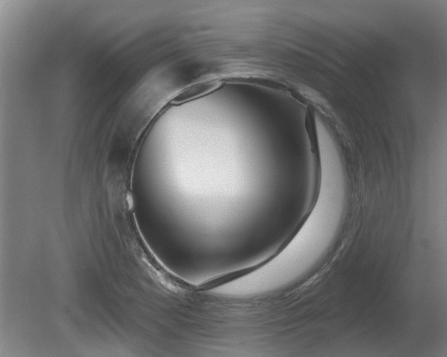 X0000081421177200701191548