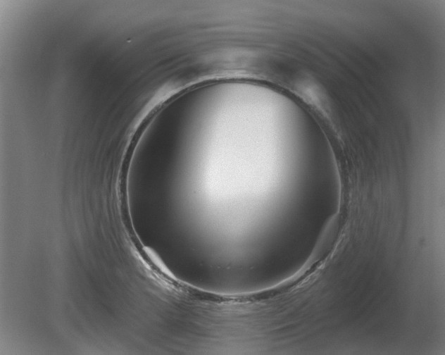 X0000081421181200701191548