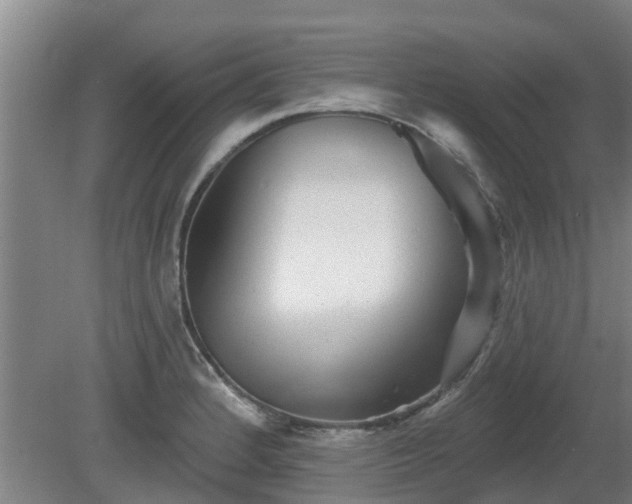 X0000081421184200701191548