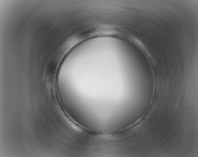 X0000081421186200701191548