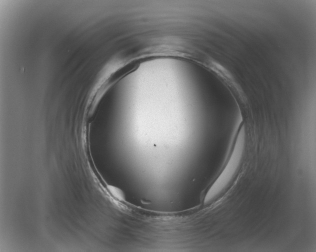 X0000081421188200701191548
