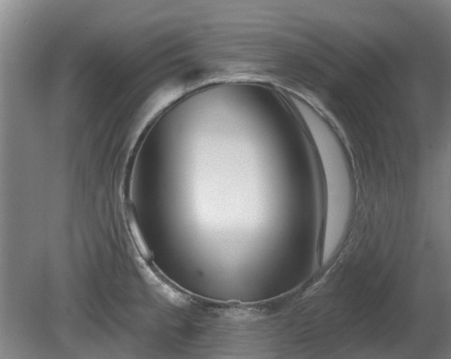 X0000081421189200701191548