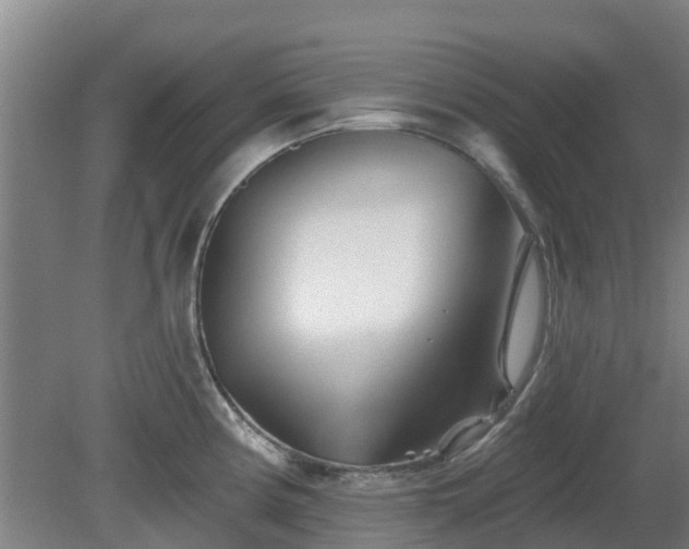 X0000081421194200701191548