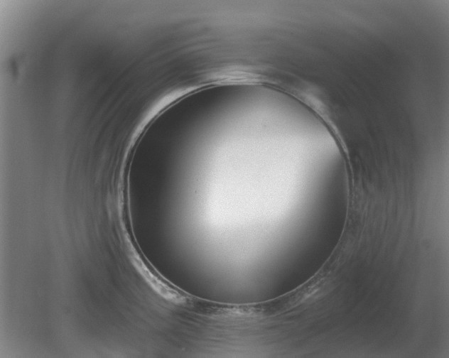 X0000081421195200701191548