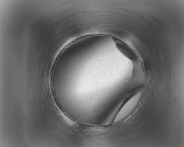 X0000081421197200701191548