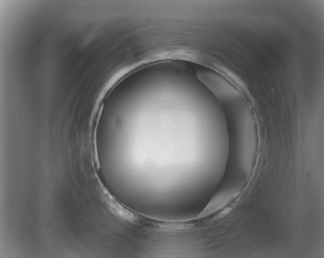 X0000081421200200701191548