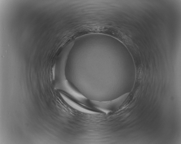 X0000081421202200701191547