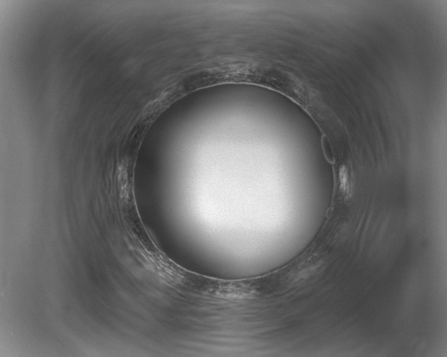 X0000081421203200701191547
