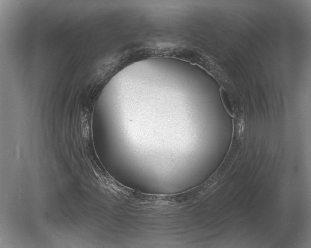 X0000081421204200701191547
