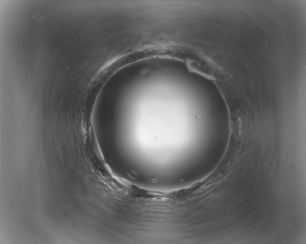 X0000081421206200701191547