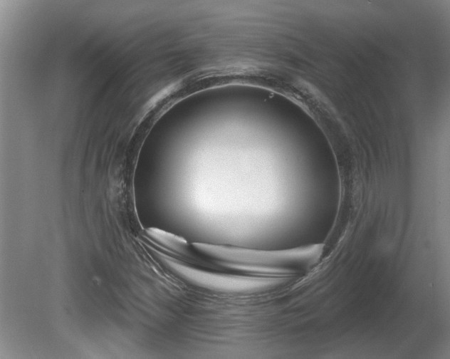X0000081421210200701191547