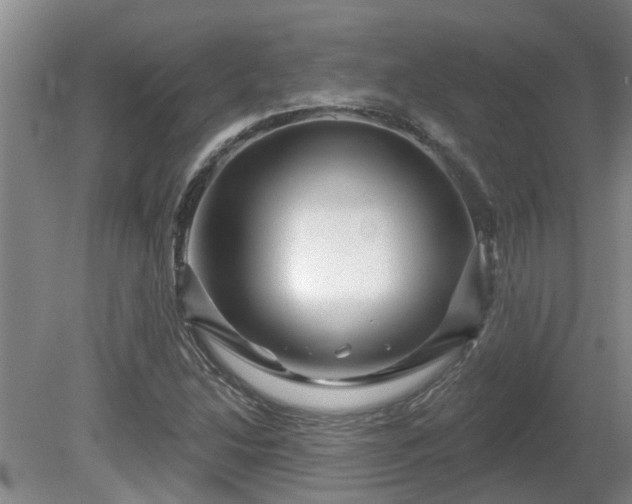 X0000081421214200701191547