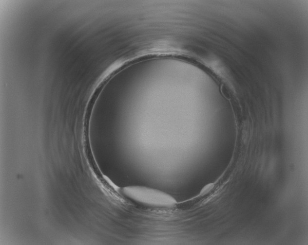X0000081421229200701191547