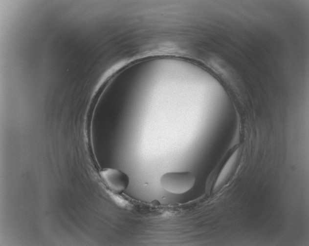 X0000081421230200701191547