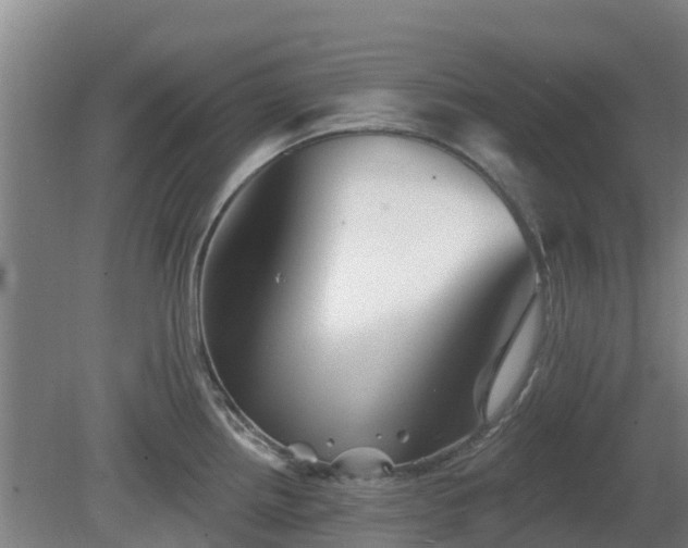 X0000081421242200701191547