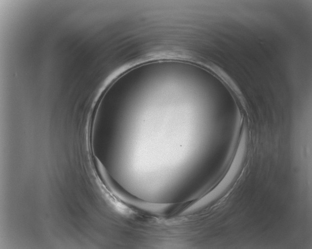 X0000081421246200701191548