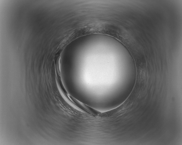 X0000081421250200701191547