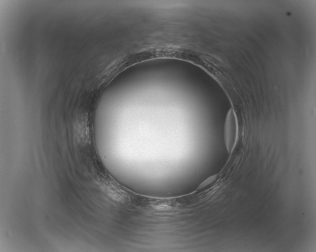 X0000081421252200701191547